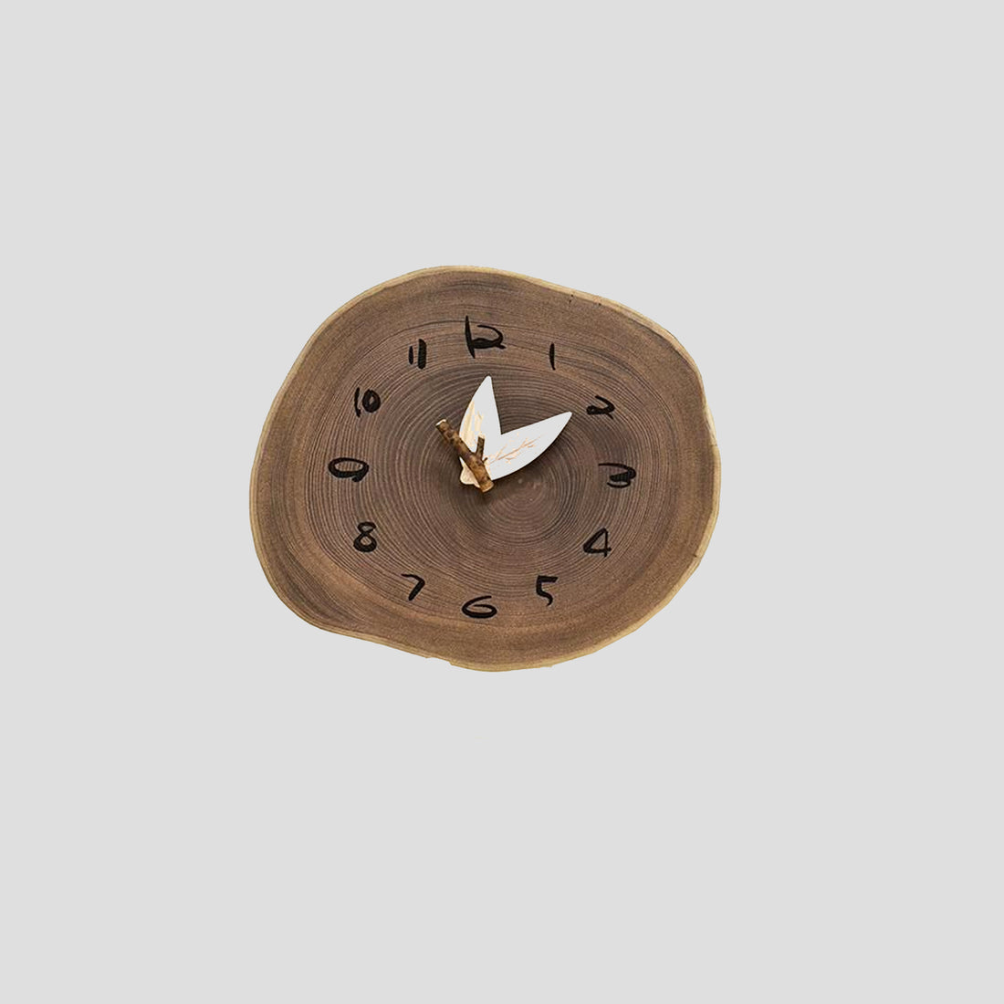 一枚板年輪時計 - 槐木