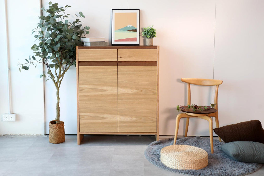 立系列掲門鞋櫃 - 單門