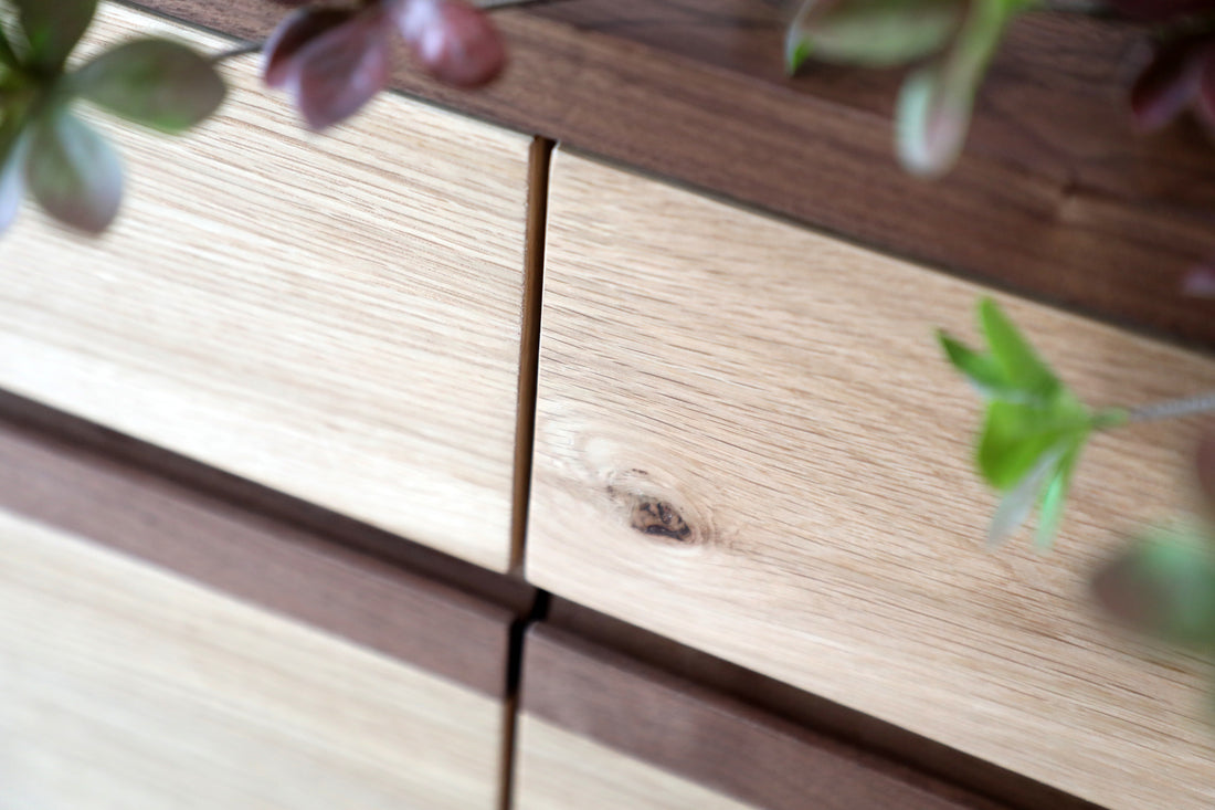 立系列掲門鞋櫃 - 濶雙門