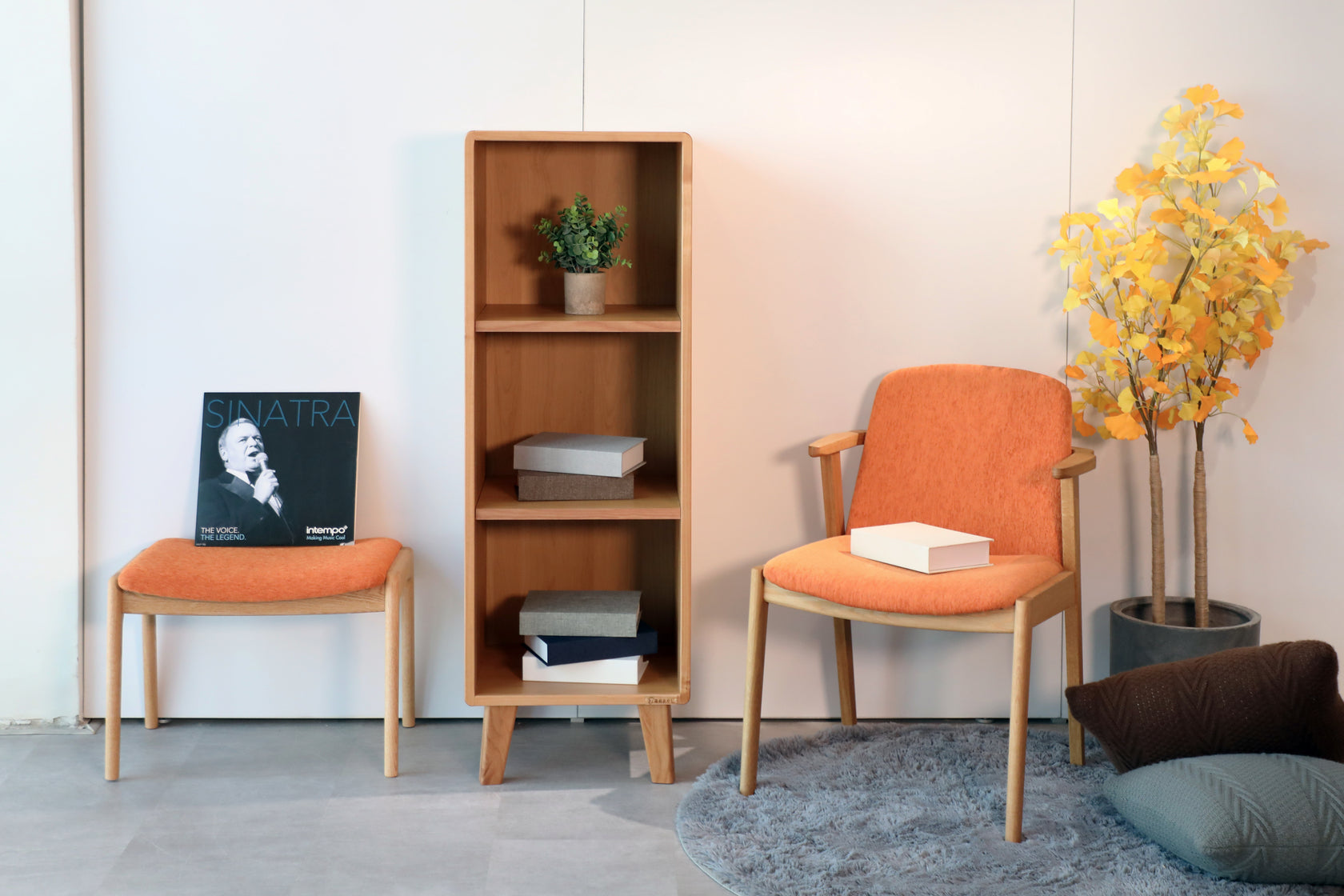 蟻組置物架 - 3x1